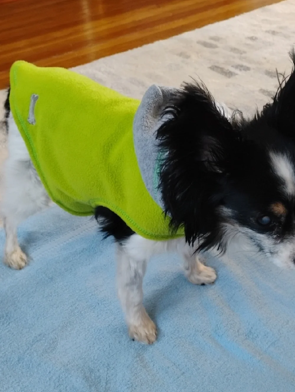 Fleece Dog Jackets